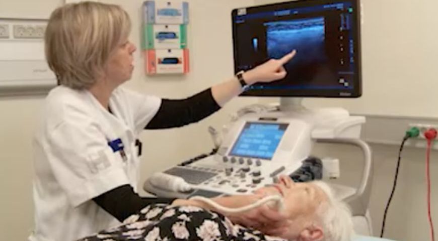The How and Why on the use of Ultrasound in Assessing the Salivary Glands